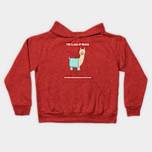 The Llama of Drama Kids Hoodie